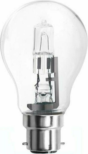 Evivak Halogen Lamp for Socket B22 with Power 42W 220-240V Clear