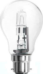 Evivak Halogen Lamp B22 52W Clear