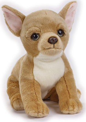 National Geographic Plush Dog Chiwawa 33 cm