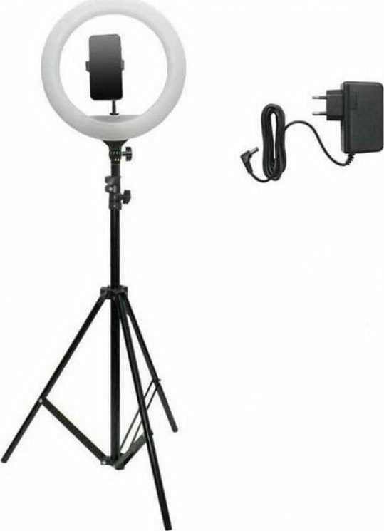 Aria Trade Ring Light Professional Ring Light + Tripod 180cm AT667 36cm