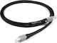 Chord Kabel Audio über Ethernet RJ45-Stecker - RJ45-Stecker 3m (11756) 1Stück
