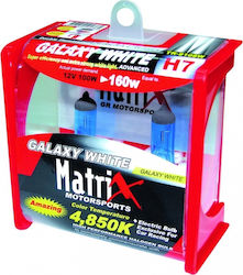 Type-R Lamp H7 Halogen Natural White Type-R Lamp H7 Halogen Natural White