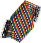 Haitronic Male to Female Dupont Wires/Cables for Arduino (30cm)