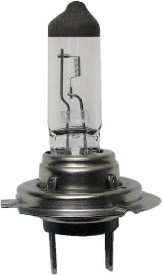 Hella Lamps Car H7 Halogen 12V 55W 1pcs