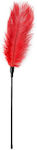 Easytoys Feather Tickler in Rot Farbe ET254RED