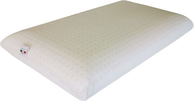 Strom Eco Green Memory Standard Μαξιλάρι Ύπνου Memory Foam Ανατομικό Μέτριο 42x72x12cm