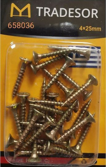 Phillips Screw with Diameter M4 and Length 25mm