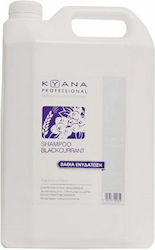 Kyana Black Currant 5000ml Kyana Black Currant 5000ml