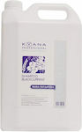 Kyana Black Currant Shampoos for All Hair Types 5000ml