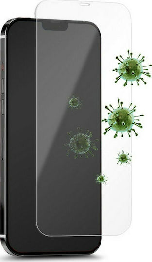Puro Anti-Bacterial Tempered Glass (iPhone 12 mini) SDGABIPHONE1254