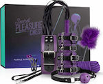 LoveBoxxx Secret Pleasure Chest Purple Apprentice