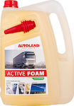 Autoland Foam Cleaning Active Cleaning Foam for Body Active Foam 5lt 123015099