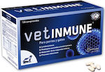 Pharmadiet Vetinmune Tablets for Dogs and Cats Συμπλήρωμα για την Ενίσχυση του Ανοσοποιητικού για Σκύλο & Γάτα 120 δισκία 120 tabs