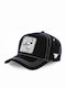 Freegun Disney Jockey Schwarz