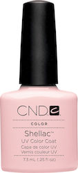 CND Shellac Halb-permanenter Nagellack Clearly ...