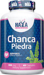Haya Labs Chanca Piedra 500mg 60 κάψουλες