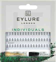 Eylure Cluster Lashes in Black color