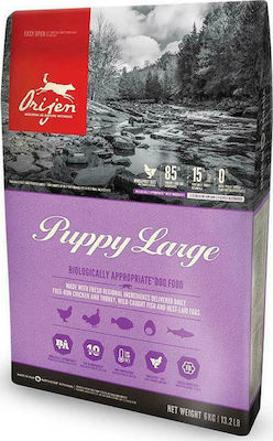 Orijen Puppy Large 6kg Trockenfutter ohne Getreide für Welpen großer Rassen mit Türkei und Huhn