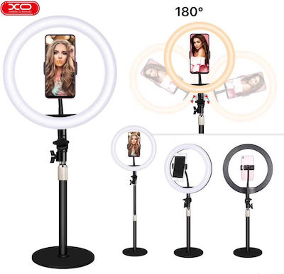 XO L03 LED Ring Light 26cm 3200 - 5600K with Desktop Stand/Mount Stand and Mobile Holder Black