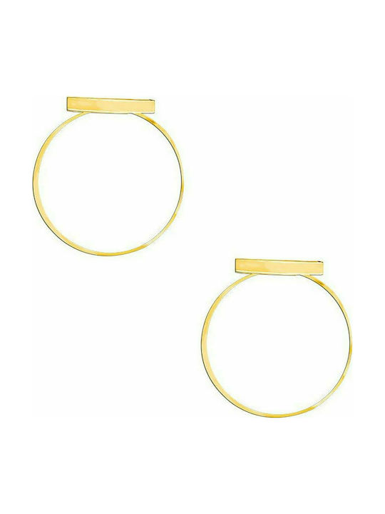 Gold plated steel earrings, TER291