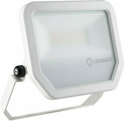 Ledvance Αδιάβροχος LED Προβολέας 50W Студено б...