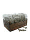 InTheBox Crăciun Decorativ Floare