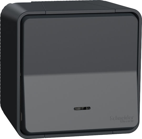 Schneider Electric Mureva Styl Μπουτόν Κουδουνιού σε Γκρι Χρώμα MUR35028