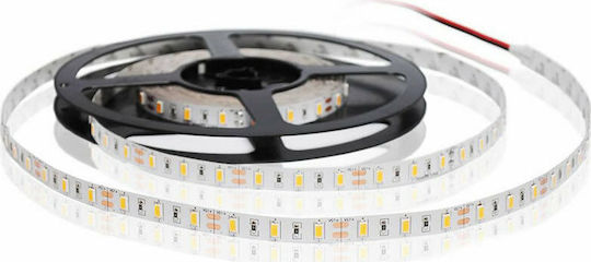 Fos me LED Strip 24V Warm White Light 5m Type SMD5050