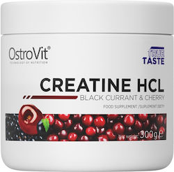 OstroVit Creatine HCL Blackcurrant Cherry 300gr