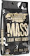 Warrior MASS Lean Mass Gainer with Flavor Strawberry Cream 5.04kg