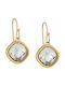 Puppis Earrings Pendants made of Steel Gold Plated with Stones PUW11299G