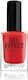 Bellaoggi Gel Effect Keratin Gloss Long Lasting...