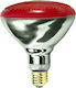 Infrared Lamp 250W for Socket E27
