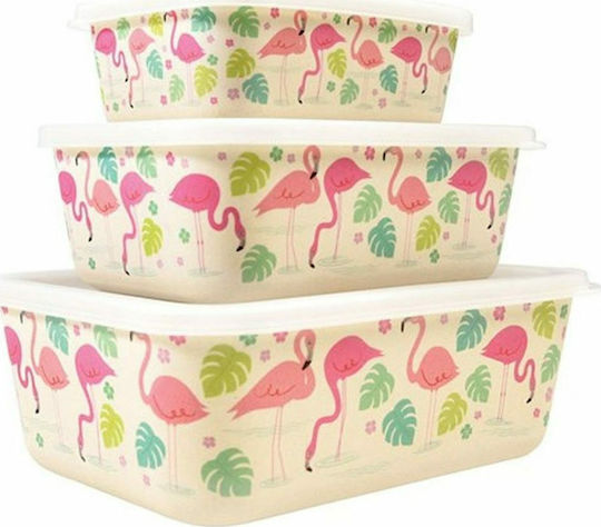 Set de mâncare pentru copii din bambus Multicolor
