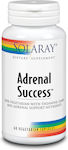 Solaray Adrenal Success Vitamin 60 veg. caps