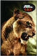 No Fear Heft Geregelt B5 40 Blätter Desert Lion Eye 1Stück (Μverschiedene Designs/Farben)