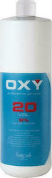 Faipa Oxy Colour Developer 6% 20Vol 1000ml