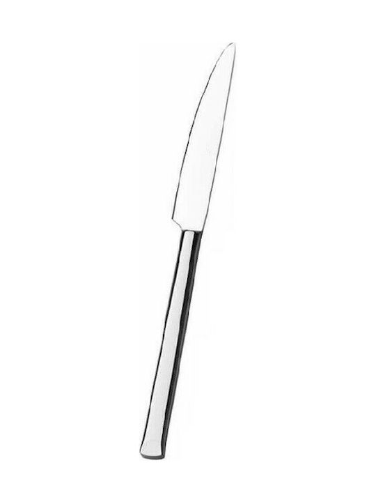 Narin Antares Fruit Knife of Stainless Steel 19cm