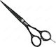 Jaguar Solingen White Line JP 10 Black Ψαλίδι Κουρέματος 5.75"