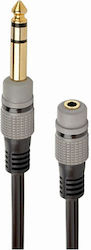 Cablexpert A-63M35F-0.2M 6.3mm male σε 3.5mm female