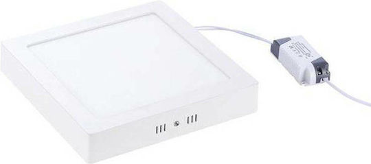 Vito Platz Draußen LED Panel 20W mit Natürliches Weiß Licht 4000K
