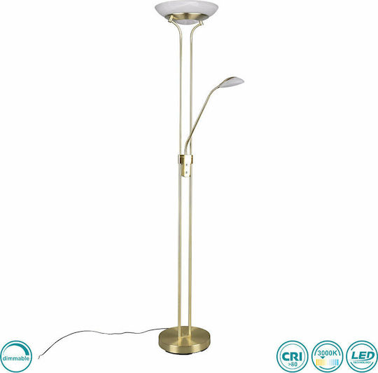 Trio Lighting Orson LED Подова Лампа В180xД32см. 2700лм Златист