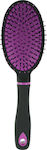 Assim Oval Hair Brush Brush Hair for Hair Styling