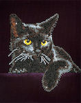 Diamond Dotz Diamond Painting Canvas Kit Ψηφιδωτό - Midnight Cat
