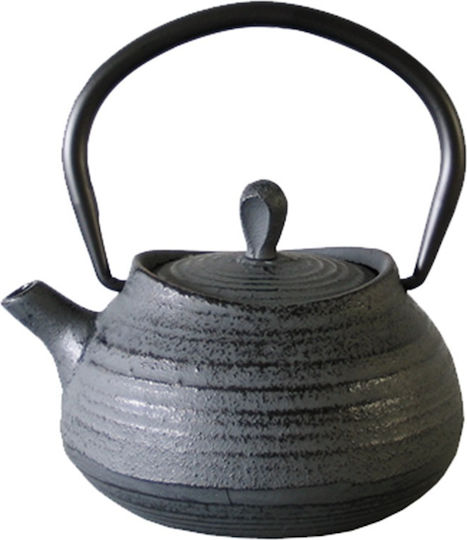 Ready Teapot with Filter Cast Iron Grey 400ml