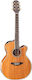 Takamine Semi-Acoustic Guitar GN77KCE NAT Cutaway Natural