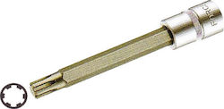 Force Allen Ribe Long Socket 1/2'' Long Walnut with Allen Head and Socket 1/2'' Force Allen Ribe Long Socket 1/2'' Long Walnut with Allen Head and Socket 1/2''