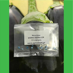 Eggplant floret hybrid 10 seeds