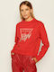 Guess Women's Sweatshirt Gray