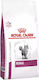 Royal Canin Veterinary Diet Renal Feline Cat Dry Food with Corn / Rice 4kg